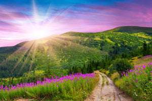 acrylic-print-a-summer-landscape-at-sunrise
