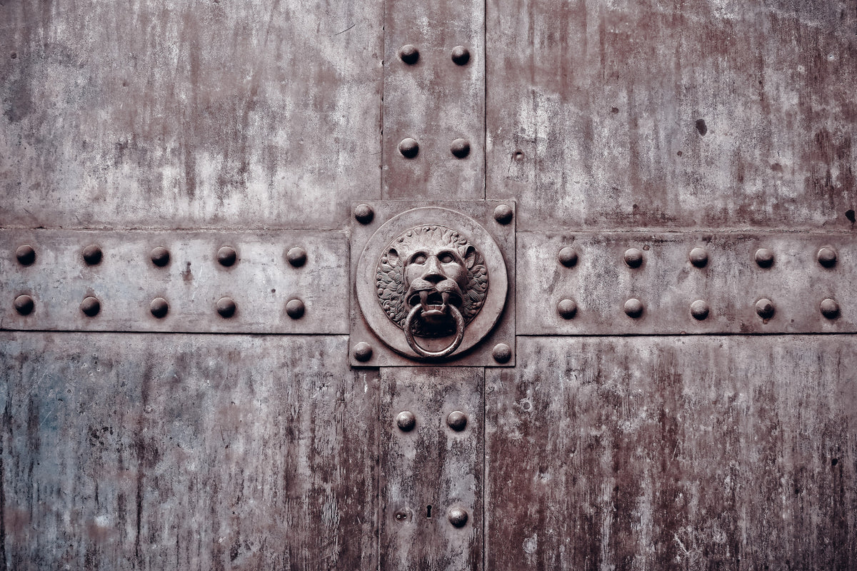 framedcanvas-print-artful-gate