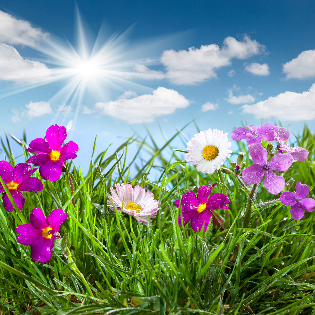 9-piece-canvas-print-flowering-meadow
