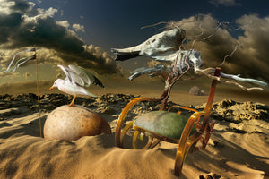 aluminium-print-fairy-tale-ii