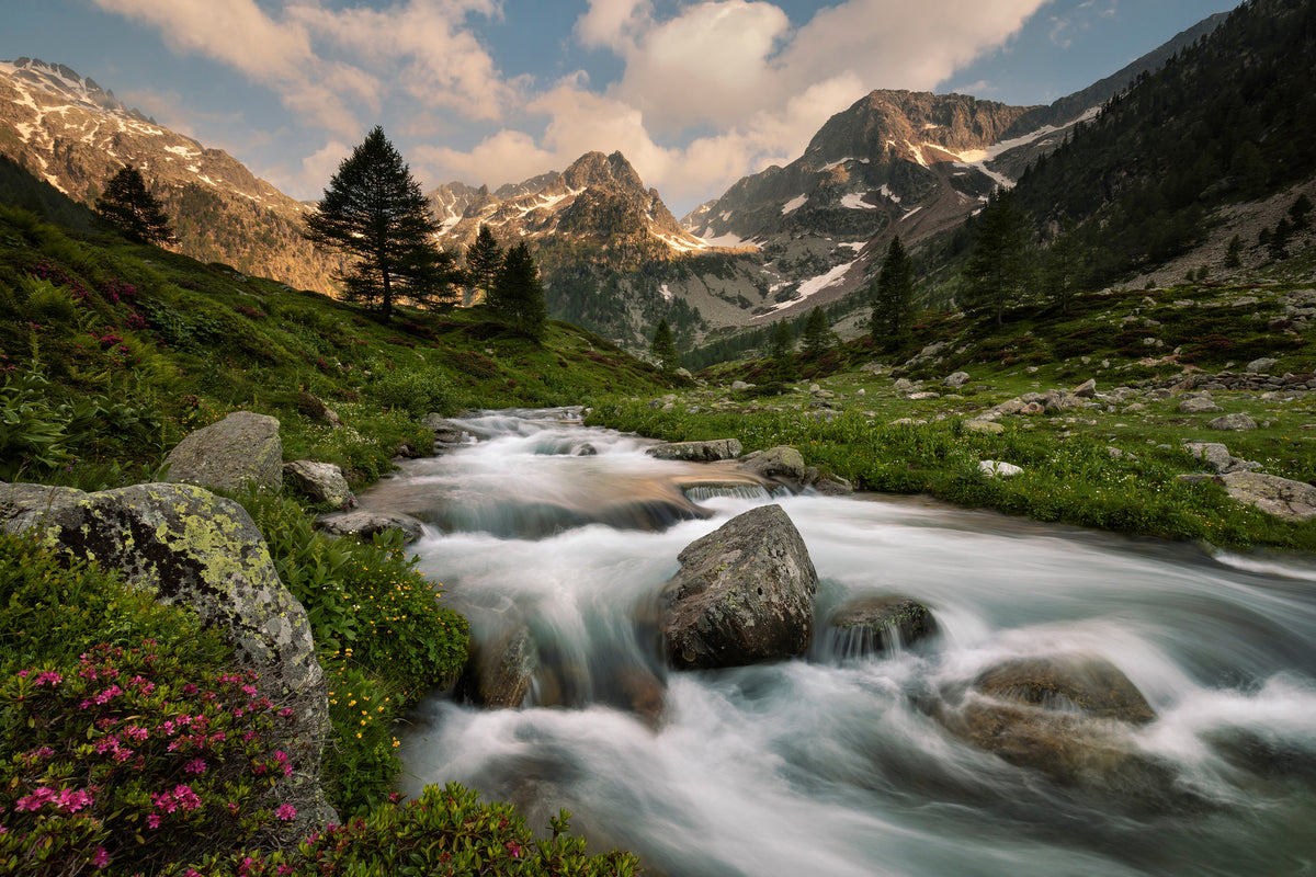 framedposter-print-maritime-alps-park-x