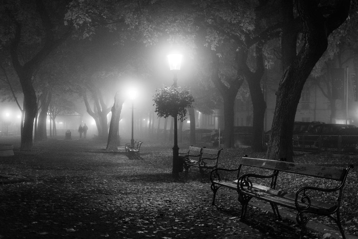 acrylic-print-foggy-day-x