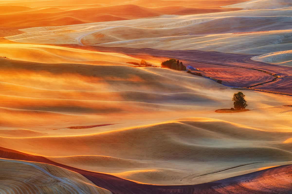 poster-print-golden-palouse-x
