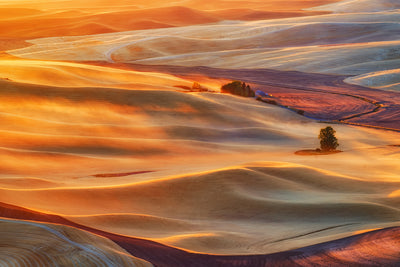 poster-print-golden-palouse-x