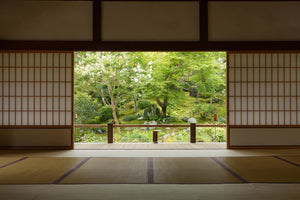 framedposter-print-zen-zone-x