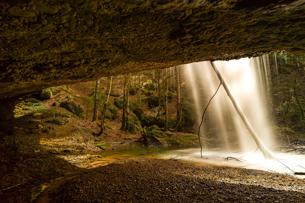 framedposter-print-nature-shower