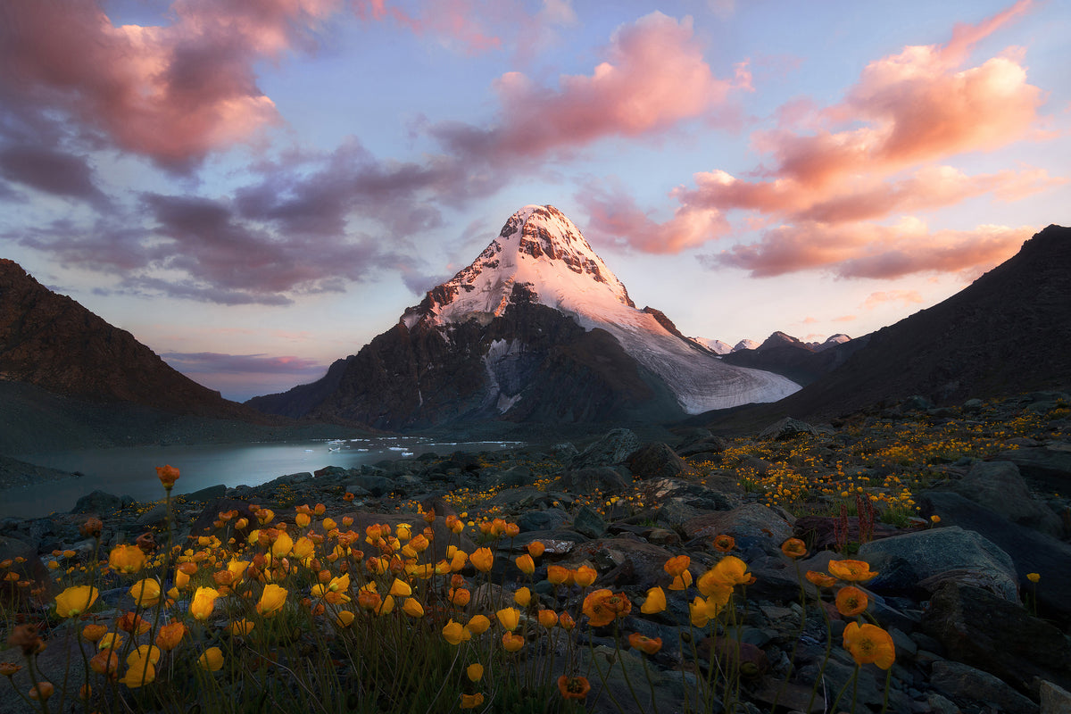 canvas-print-snowy-peak-x
