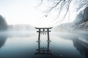 poster-print-japan-x