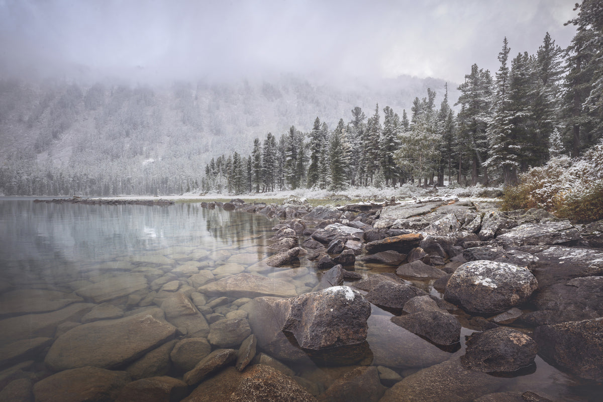framedposter-print-winter