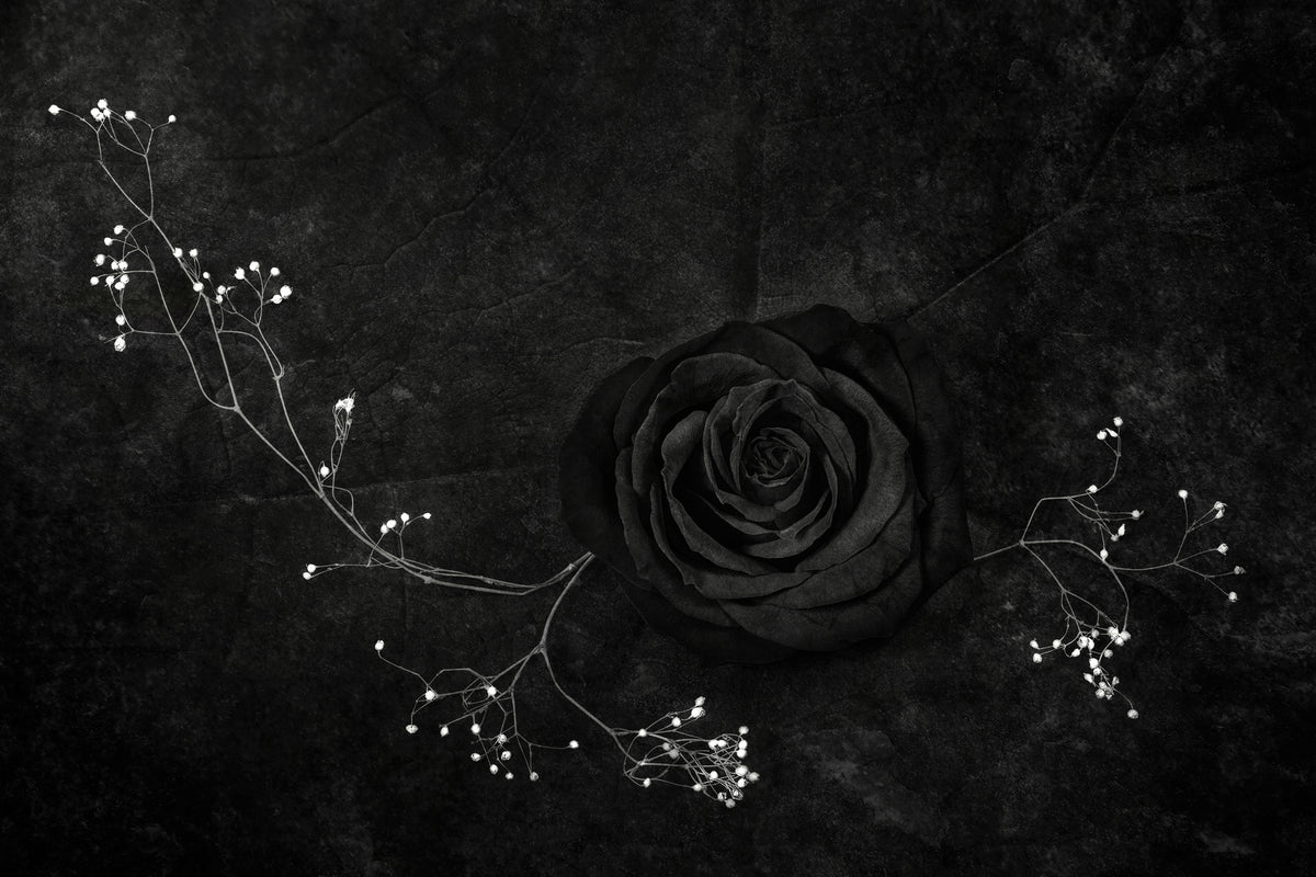 canvas-print-rose-noire