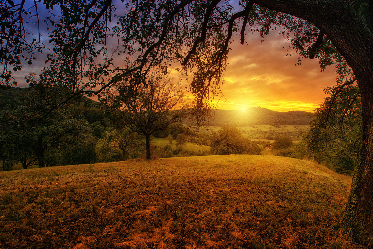 framedposter-print-a-landscape-in-the-sunset