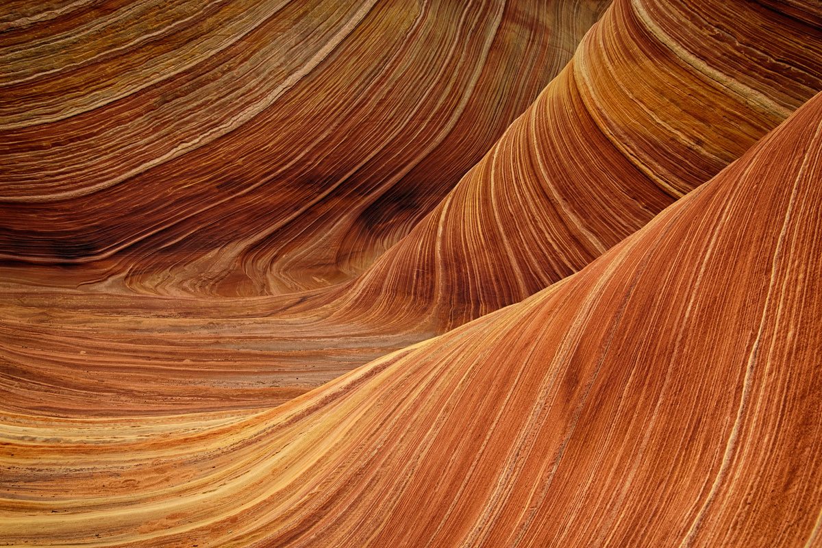 acrylic-print-the-movement
