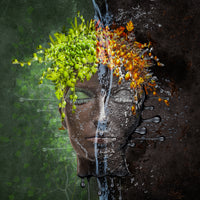 acrylic-print-metomorphosis-x