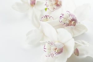 3-piece-aluminium-print-fantastic-orchids