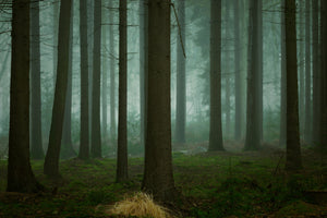 acrylic-print-the-cold-dark-days-of-winter-x