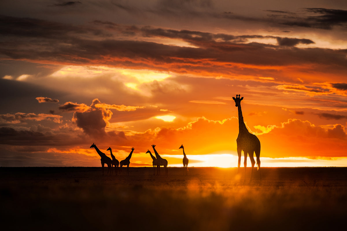 framedcanvas-print-end-of-the-day-x