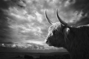 aluminium-print-the-highlands-x