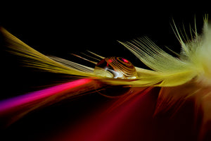 acrylic-print-colors-in-the-drop-x