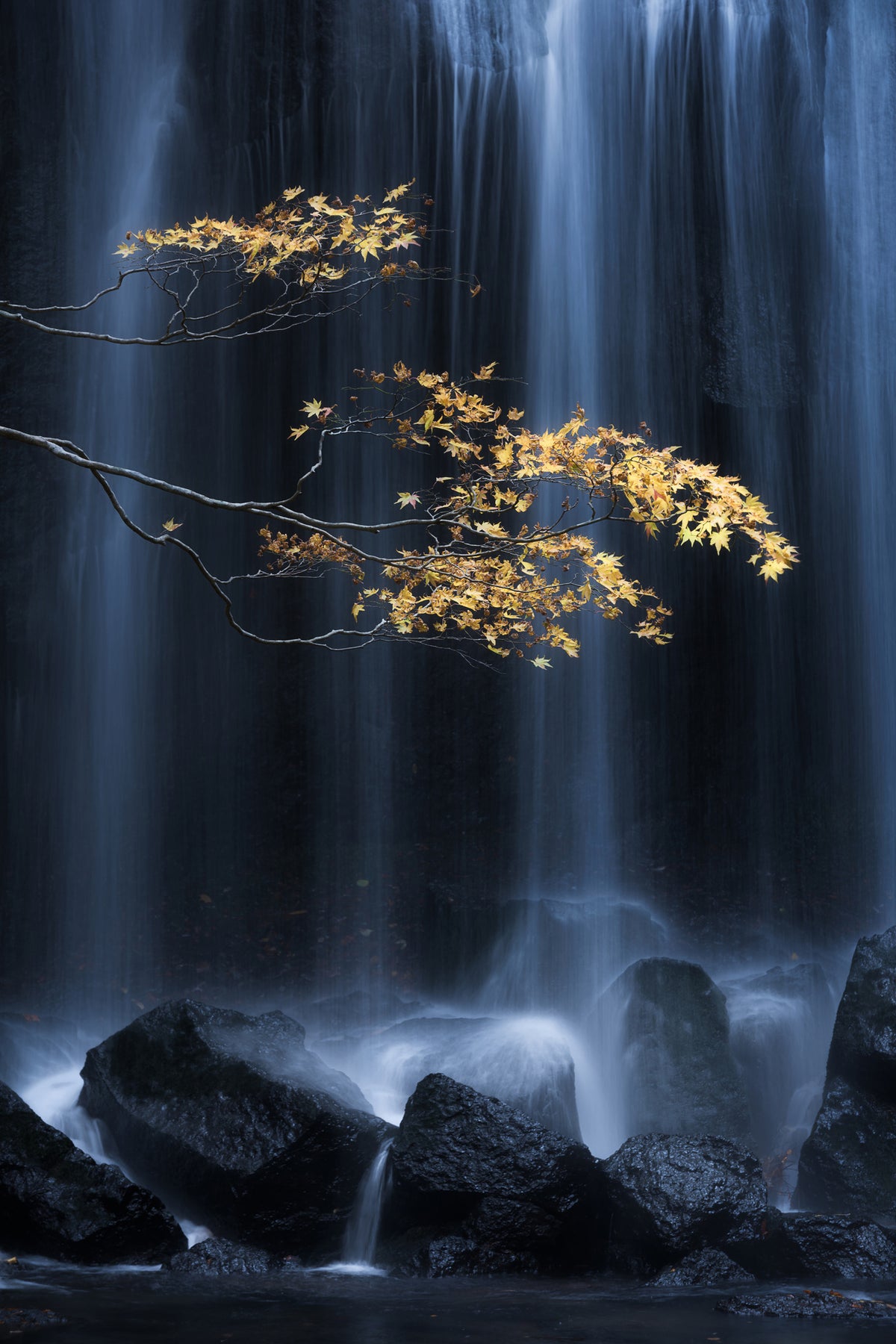 canvas-print-yellow-autumn