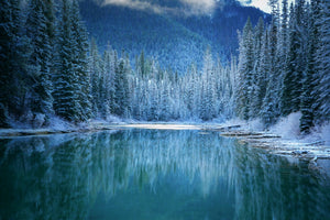 acrylic-print-wonder-winter-land-x