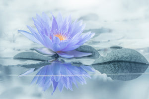 acrylic-print-reflection-xus