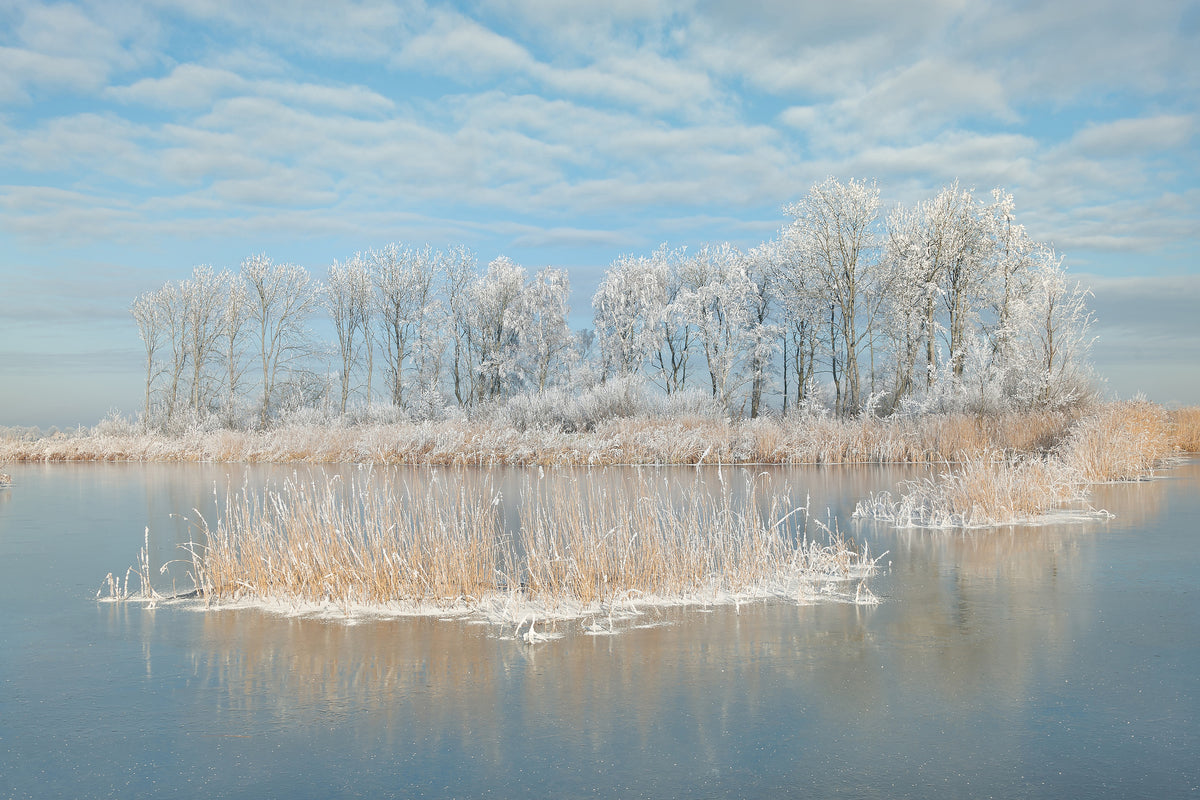acrylic-print-winter-xfq