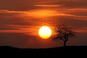 aluminium-print-the-sunset-on-the-horizon