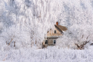 aluminium-print-winter-tale-x