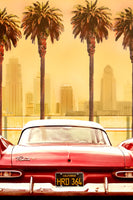 poster-print-plymouth-savoy-with-palms