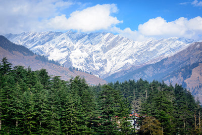 poster-print-view-of-manali