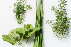 poster-print-fresh-herbs
