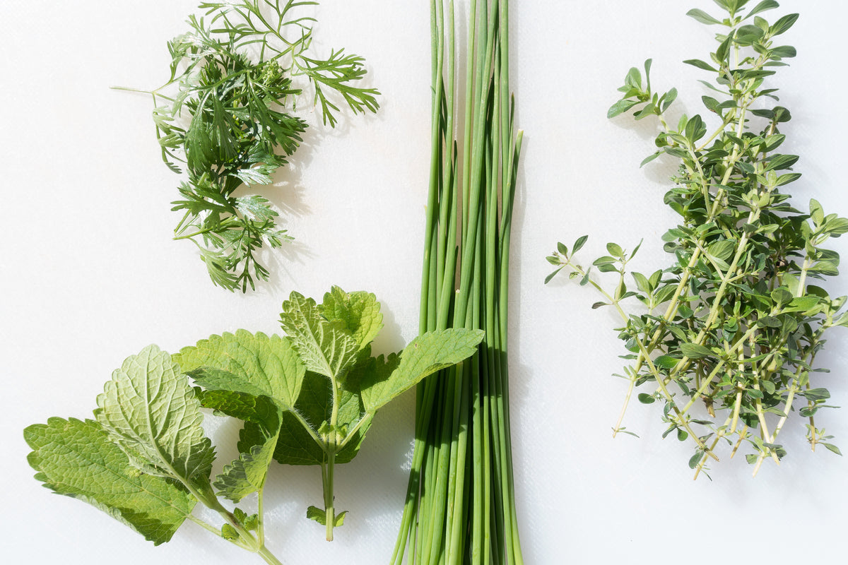 poster-print-fresh-herbs