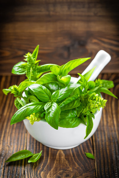 poster-print-fresh-basil
