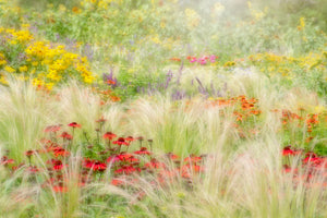 canvas-print-summer-reverie-x