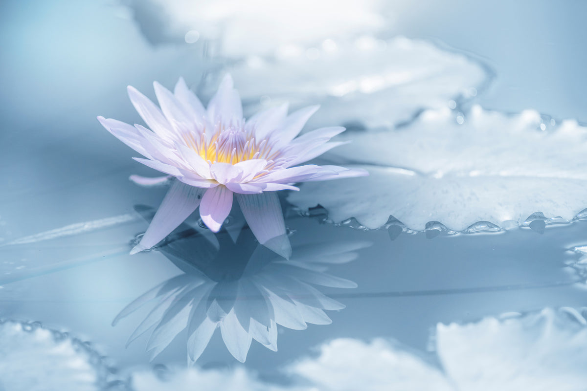 framedposter-print-reflection-xbu