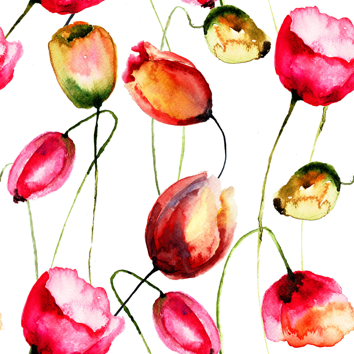 aluminium-print-painting-the-tulips