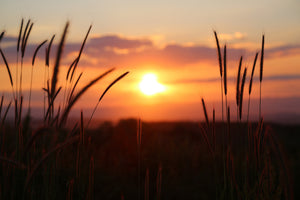 canvas-print-adorable-sunset
