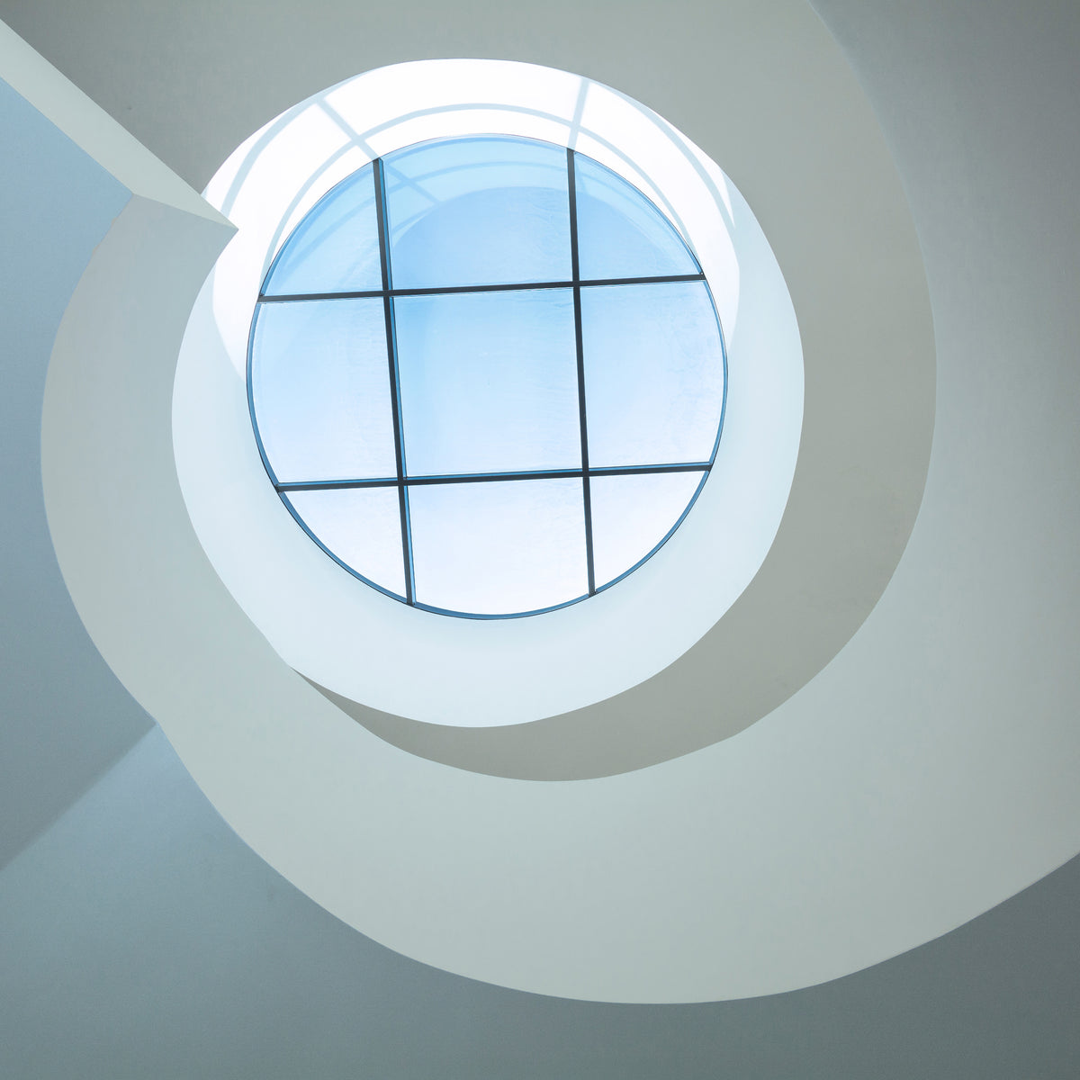 canvas-print-looking-up-xcd