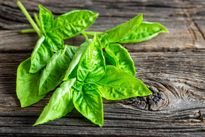 modern-3-piece-canvas-print-basil-leaves-ii