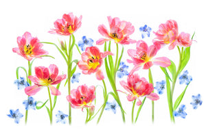 framedposter-print-spring-delight-x
