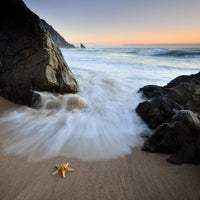 canvas-print-summer-flux