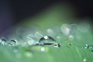 canvas-print-drops-of-water-in-xxl