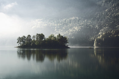 poster-print-morning-fog-clearing-x
