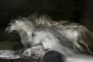 acrylic-print-into-the-dark