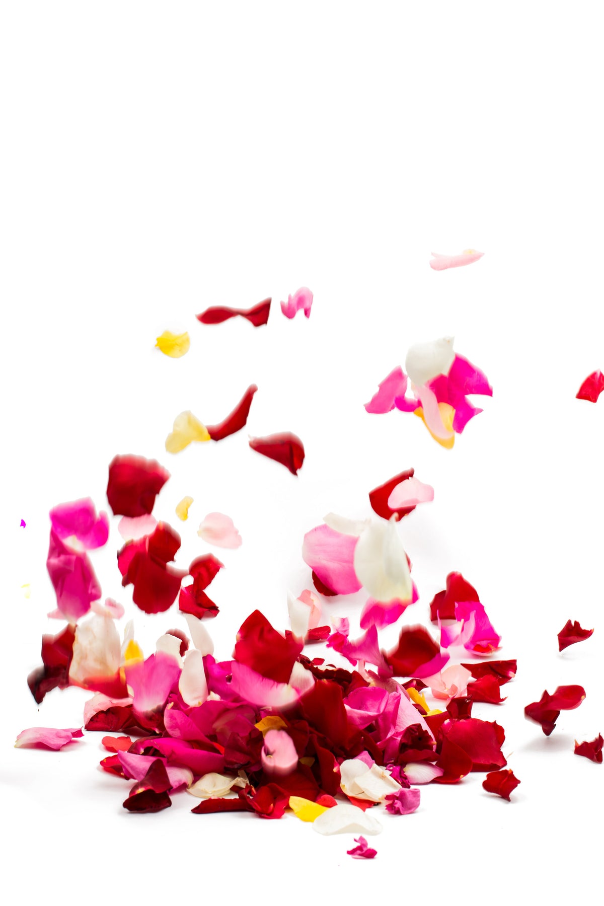 framedcanvas-print-bed-of-rose-foliage