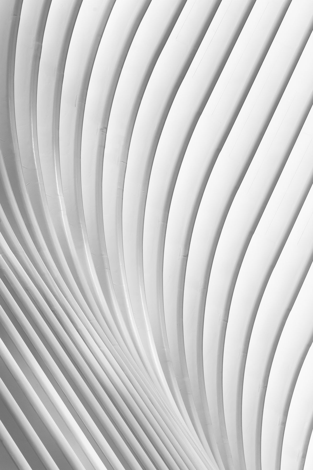 framedposter-print-calatrava-lines-x