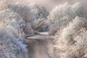 canvas-print-winter-song-x