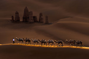 canvas-print-castle-and-camels