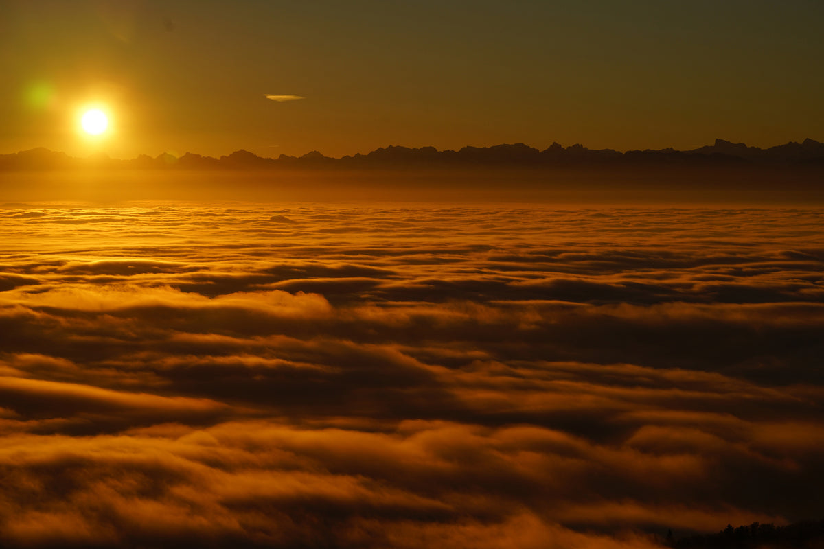 aluminium-print-sunrise-in-the-nature