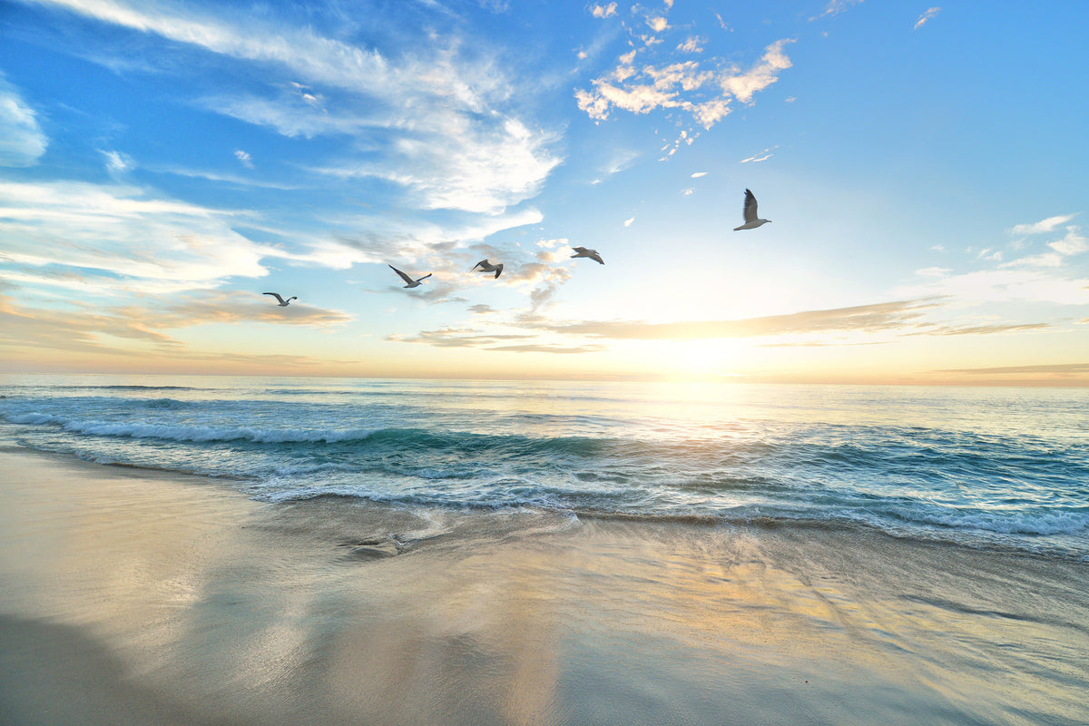 modern-3-piece-canvas-print-the-seagulls-and-the-sea-at-sunrise